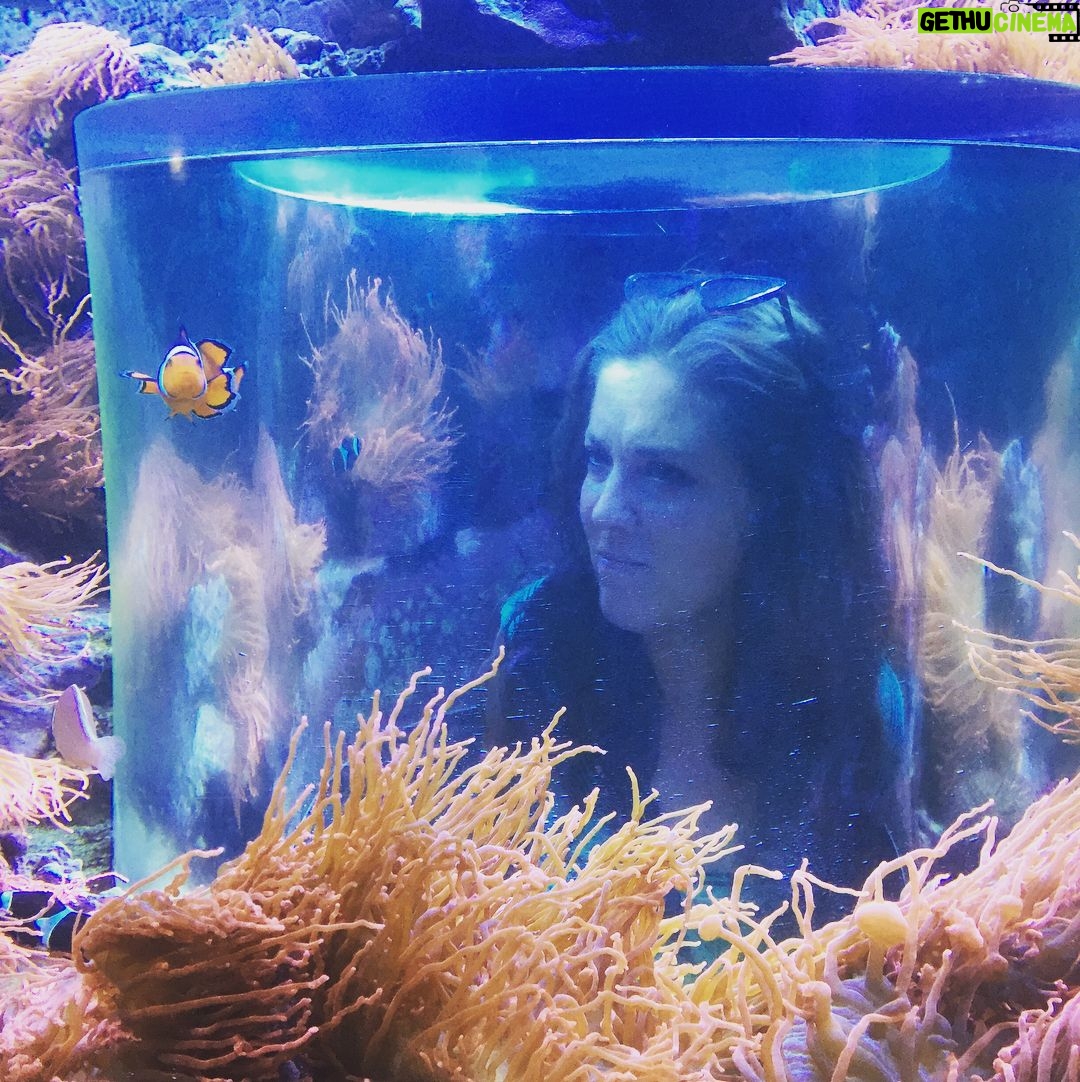 Kay Panabaker - 1.8K Likes - So I was gonna be stranded at the car repair shop for 9 and 1/2 hours today while they worked on my car. Then J-Bo texted me and said she had an extra ticket to Seaworld. We rode so many coasters (some of them twice!), and got to see some pretty cool animals. But I think the highlight was just quality bonding time. We often hang out as part of our friend group, so it was nice to just have an āusā date. Thanks for the fun day, @jenn_lebeau !!! Great way to send off 2017!!!