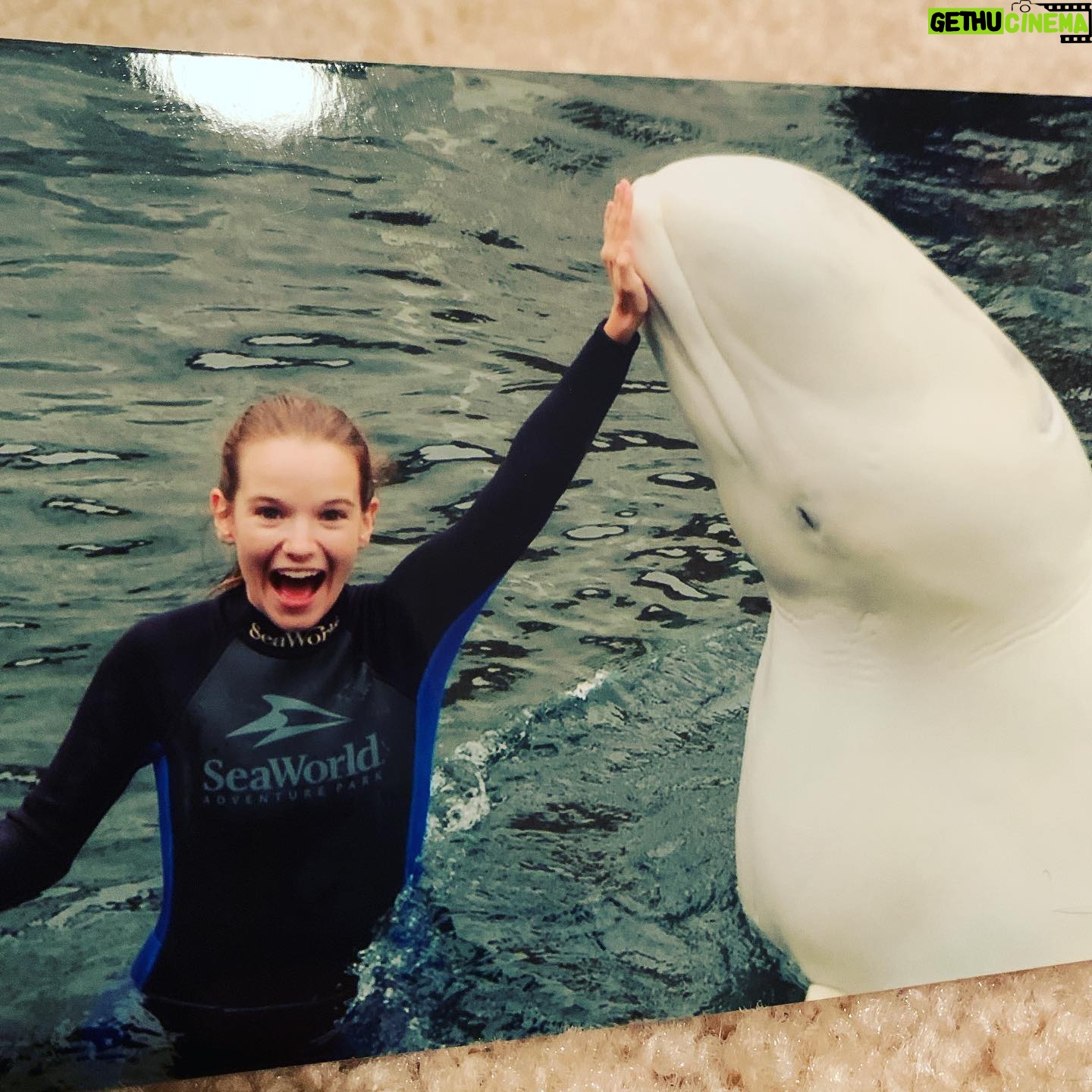 Kay Panabaker - 10.7K Likes - September ā08. I was supposed to be in Oregon shooting a movie whose funding had fallen through. My mom wanted to get my mind off of the anxiety and took me to Seaworld San Diego for a behind the scenes tour. I had no idea I would be a zookeeper myself 10 years later. But this was a momentous occasion in my life. I bonded with Rosie, a beluga whale who was slowly getting over the loss of her baby. This is a very difficult time for so many people. My heart hurts for everyone, people and animals, that have been so drastically affected by this pandemic. Stay home, so we can all get back to caring for those that matter most to us.