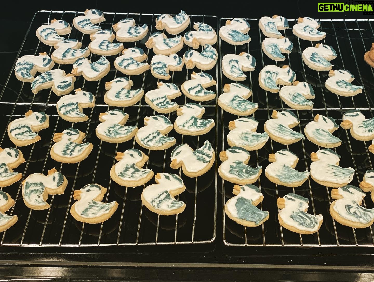 Kay Panabaker - 842 Likes - Despite having “baker” in my last name, I’m not very good at baking. It always takes me so long (about 6 hours to make these, not including the decoration) and they’re usually either under or over done. But these turned out so well!! My friend and I did these for our coworkers. Feel free to compare to our cookies from January 2016. I’d say our skills have gotten better. And the taste was fantastic! The icing consistency needed some work and didn’t have enough flavor, for my preferences. But it was good to sit, chat, and decorate our feelings.