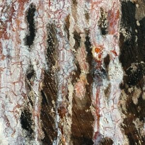 Kaya Wilkins Instagram - 🌱🌱🌱🌱🌱🌱
Omg i love music 
Assimilating 
The shadow of a 
sapling 
Likening your lovers nail to the moon 
Someone thousands of years ago 
Saw something and doodled on a wall 
Jotting down 
Dawn itself 
Drawn broke in twain & I will always press sounds onto plastic and I appreciate you who listens I love you easily  Sap is out today with a series of sweet friendly features