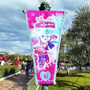 Kayo Noro Instagram - ディズニーパルパルーザ 🎀ミニーのファンダーランド🎀 ・ 思い出の写真たちです🩷 女子高生達がこのように写真撮ってましたのでマネして撮りました♡ありがとう女子高生 本当に可愛い可愛いイベントでした！ この日風がとても強くて ミニーのファンダーランドパレード見れなかったのはとてもとても残念でしたけども💦 可愛いミニーちゃんに会うことができて幸せです ミニーちゃんピンクって本当元気が出て可愛くて大好き💕 いつも元気と癒しをいただいておりますm(_ _)m 第2弾　ドナルドのクワッキー・ダックシティ　 もとても楽しみです😊 ・ 投稿遅くなっちゃったけども #パルパルーザ #ミニーちゃん #ミニーのファンダーランド🩷 #tdr #東京ディズニーランド