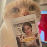 Kazusa Okuyama Instagram - #激辛グルメ祭り 🌶 #友達のねこちゃん　😸