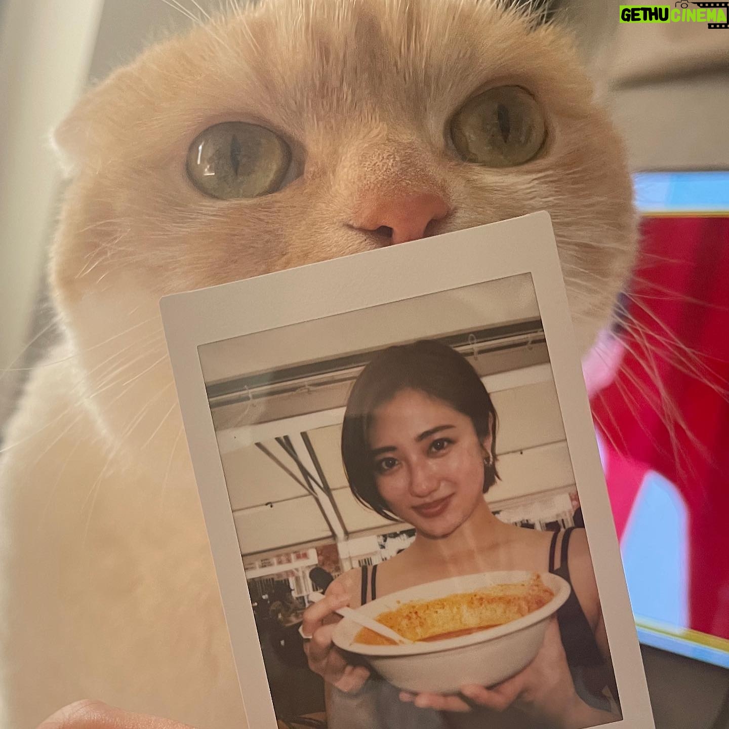 Kazusa Okuyama - 7.2K Likes - #激辛グルメ祭り 🌶
#友達のねこちゃん 😸