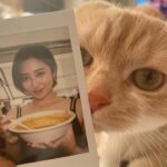 Kazusa Okuyama Instagram - #激辛グルメ祭り 🌶 #友達のねこちゃん　😸