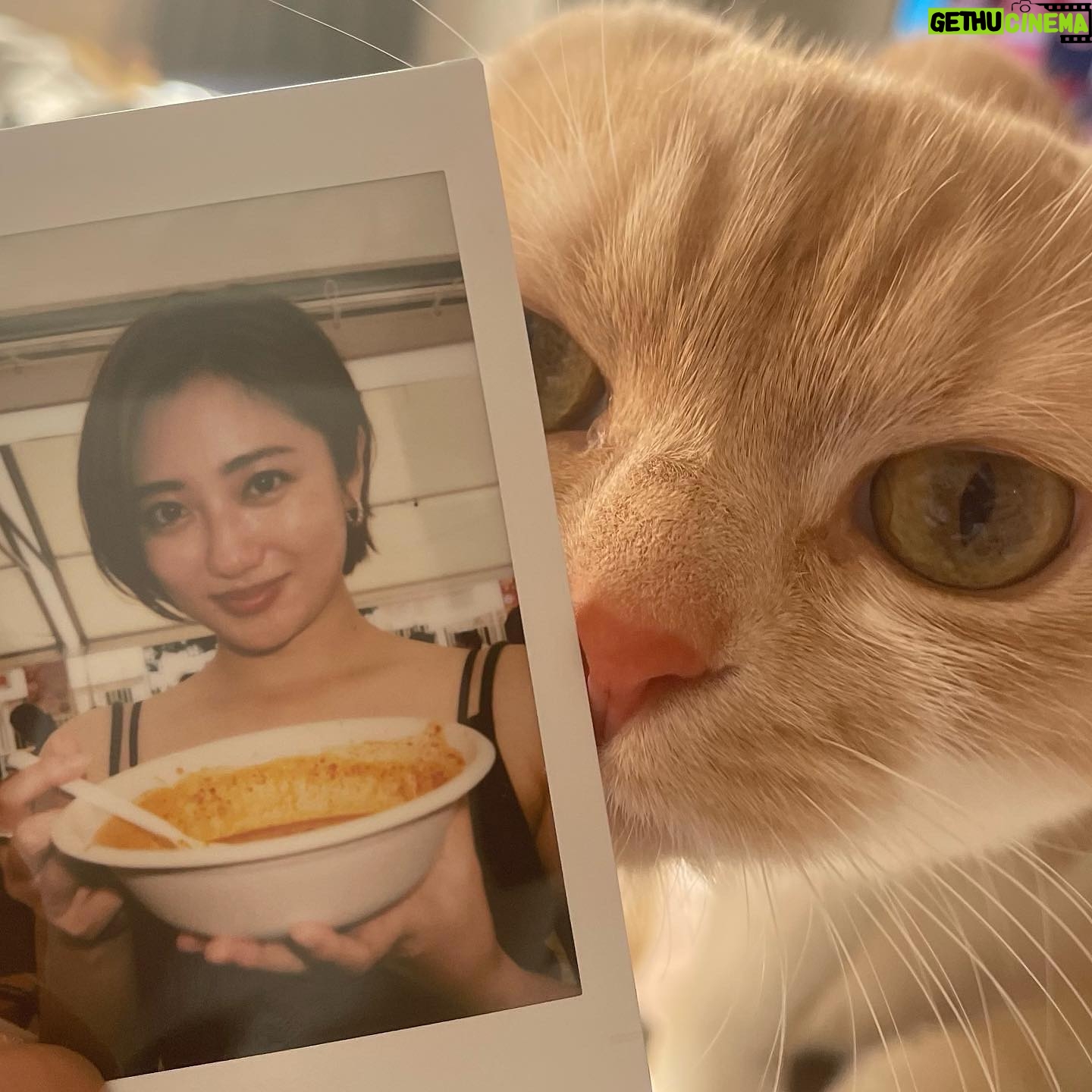 Kazusa Okuyama - 7.2K Likes - #激辛グルメ祭り 🌶
#友達のねこちゃん 😸