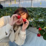Kazusa Okuyama Instagram - #ニッポン箸休めさんぽ 秩父！ あまりん🍓かおりん🍓 どっちも本当に美味しかった〜〜 箸休めじゃなくてご馳走主役でしたね！笑 . あまりんかおりんたっぷり🍓結婚のお祝いケーキも🥲✨✨久住さん、スタッフの皆さん、イチゴ農家の皆さん、本当にありがとうございました！！！🤍