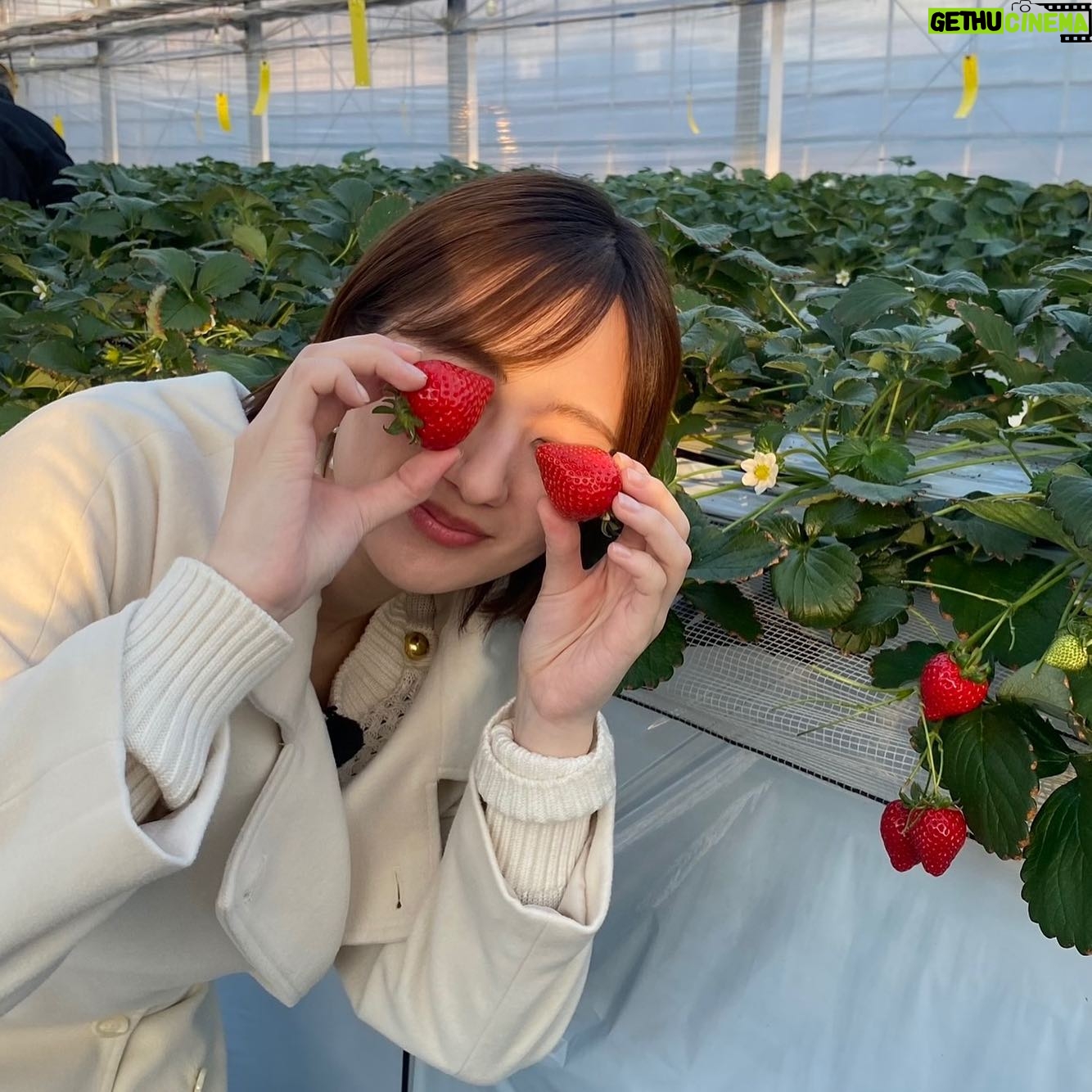Kazusa Okuyama - 7.7K Likes - #ニッポン箸休めさんぽ 秩父!
あまりん🍓かおりん🍓
どっちも本当に美味しかった〜〜
箸休めじゃなくてご馳走主役でしたね!笑
.
あまりんかおりんたっぷり🍓結婚のお祝いケーキも🥲✨✨久住さん、スタッフの皆さん、イチゴ農家の皆さん、本当にありがとうございました!!!🤍