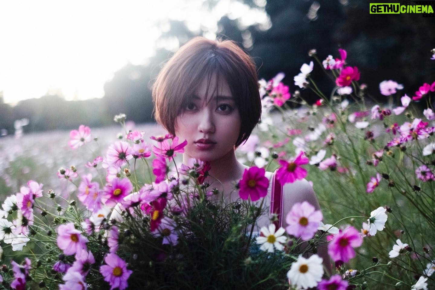 Kazusa Okuyama - 8.6K Likes - 奥山かずさ 笠井爾示写真展「Here」
本日、グッズ展開・購入特典が解禁されました🎉
リンクはストーリーから👆
詳しくは今日のインスタライブで話そうと思います!
20:30~展示会場からお届けします🫦是非見に来てくださ〜い🤗