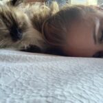 Keegan Connor Tracy Instagram - The good news: I’m not in pain. The bad news: now I need to sleep 20 hours a day. #ohboy #tradeoffs