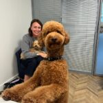 Keeley Hawes Instagram – Thank you @battersea for the newest member of our family. We couldn’t love her more. 
Buster is recovering. 
💙 

Edit! Just to be clear, the new addition is on my lap! 🐾

#rescueismyfavoritebreed 
📸 @janeyjanew