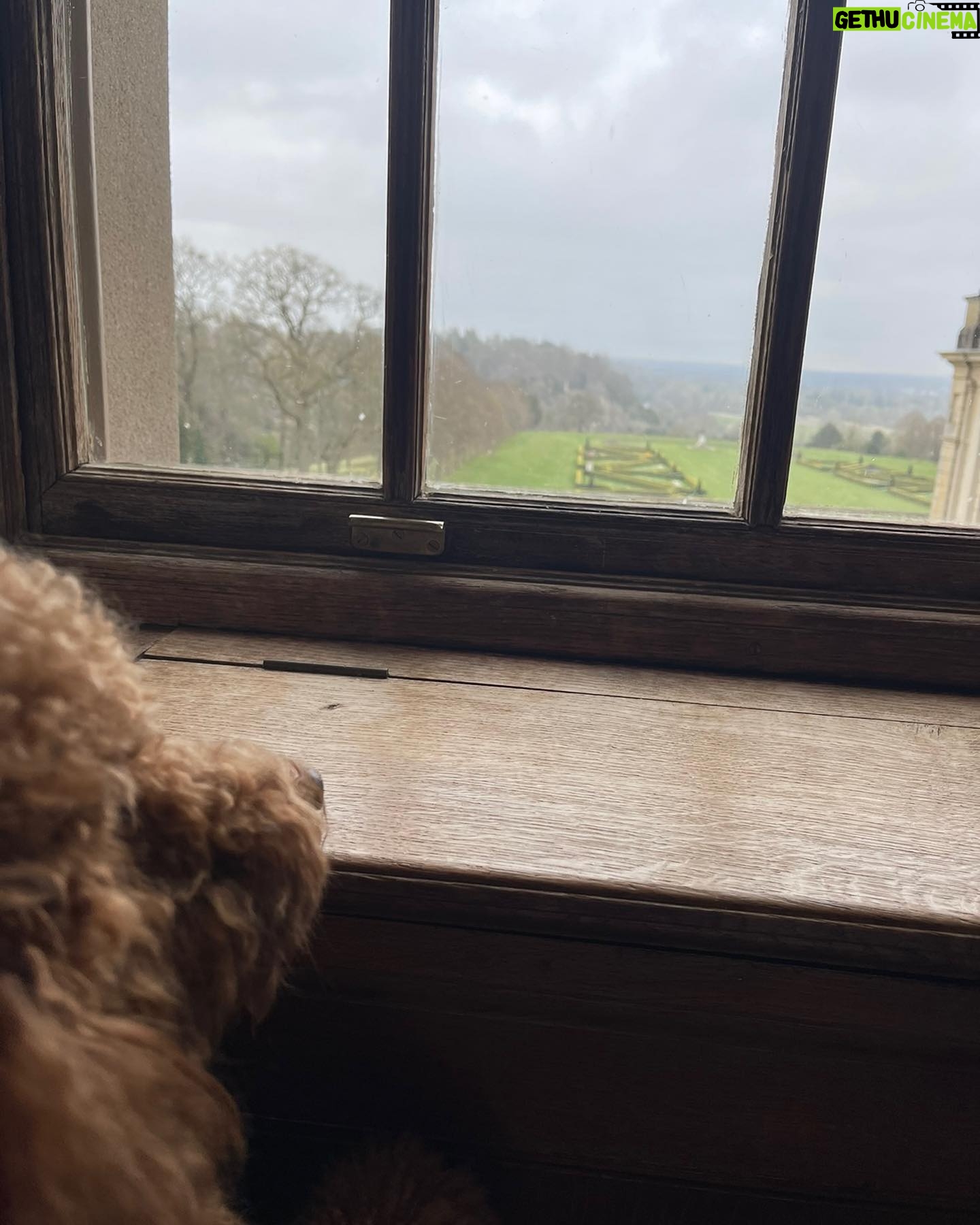 Keeley Hawes Instagram - This good boi living his best life 🦴
