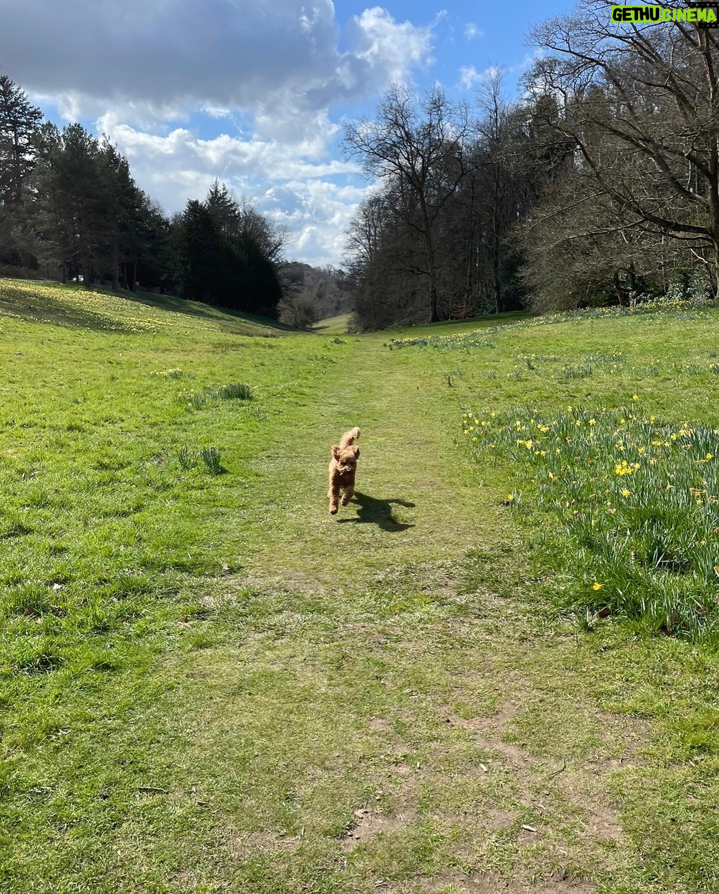 Keeley Hawes Instagram - This good boi living his best life 🦴