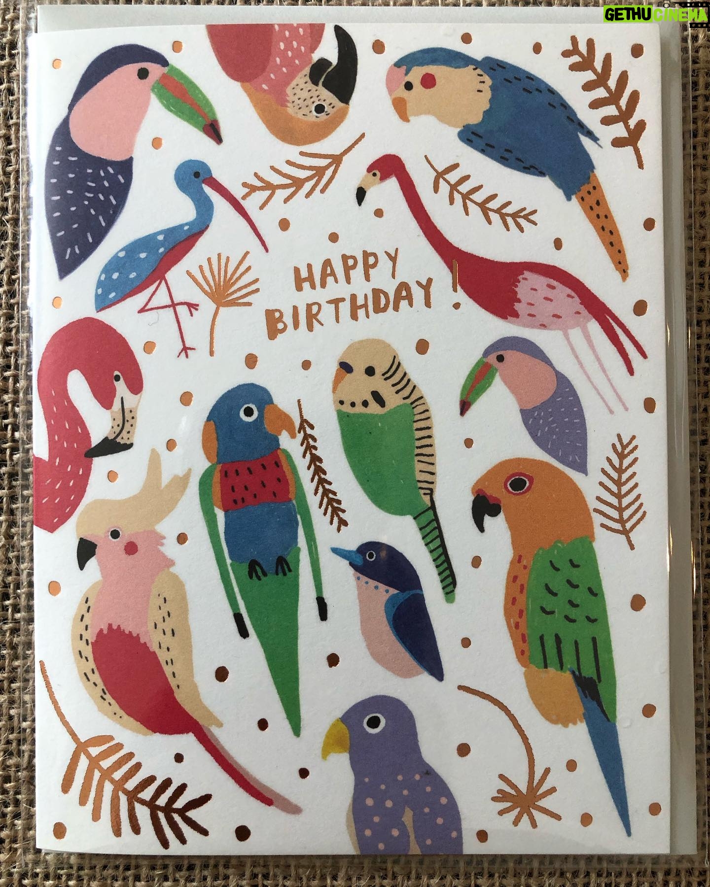Keiko Agena Instagram - Also picked up these great cards at the Little Tokyo Florist shop by the amazing artist @carolynsuzuki 🌟 Support local business. I love little Tokyo.