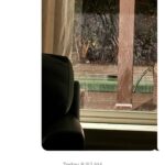 Keisha Lance Bottoms Instagram - For all who have ever asked what keeps me grounded, take a look at the text messages from Derek and Lincoln to me as I’ve quarantined in the basement with COVID this week. It’s always your own family.