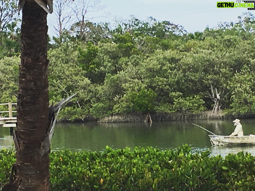 Kelli Giddish Instagram - #vacation #hemingway? #myway