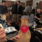 Kelli Giddish Instagram - #FrannieMae on set @nbcsvu #TCB⚡️