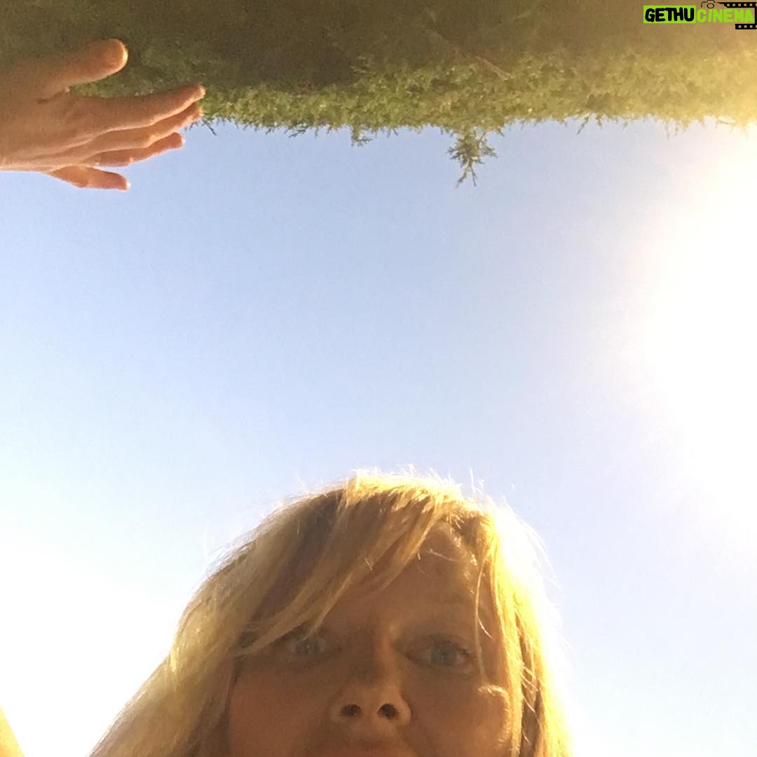 Kelli Giddish Instagram - #upsidedowntown