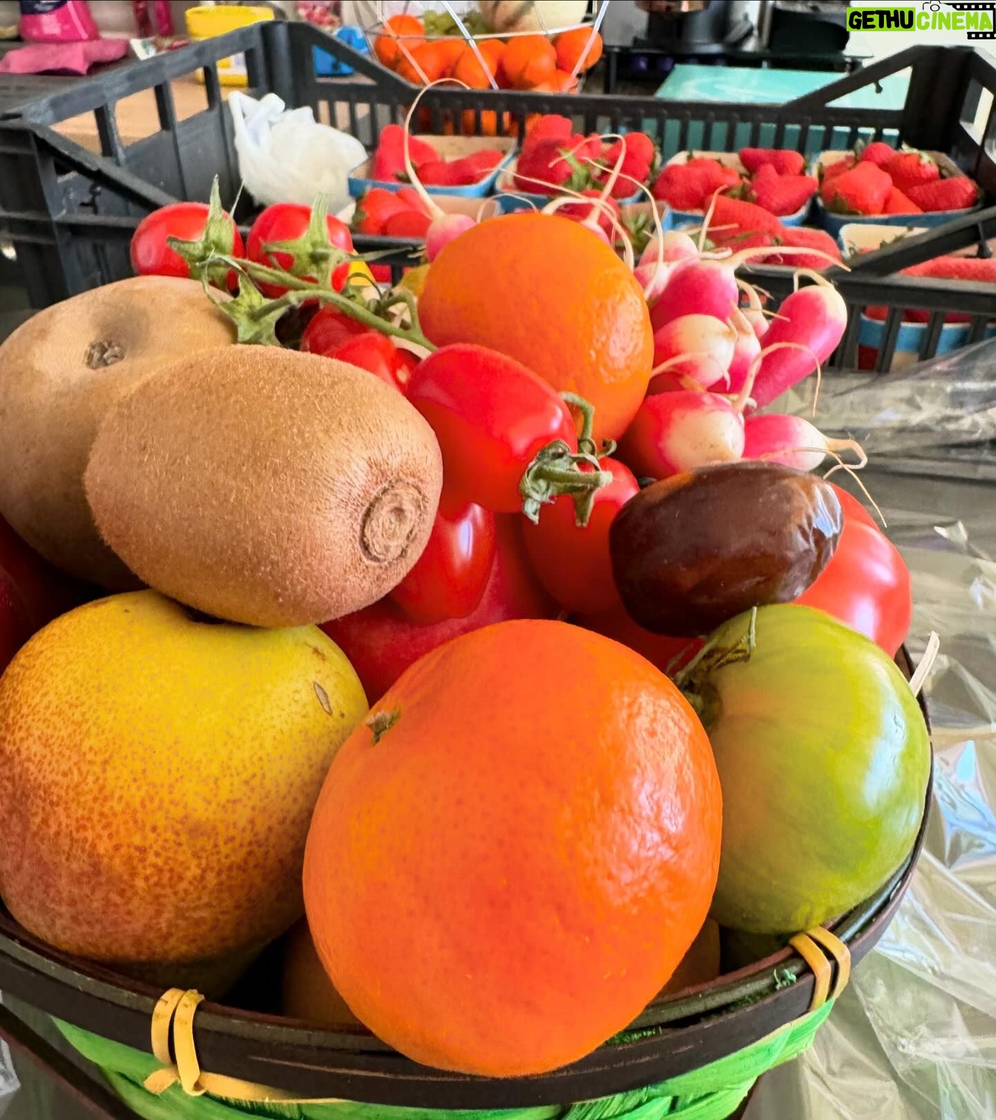Kelly Helard Instagram - Jour de marché au lavandou Le kiff de ramener tout ça !! J’ai retrouvé @lemarchedejuly où on a pu goûter à beaucoup de fruits et légumes un bonheur #produitoffert Qu es ce que vous achetez vous au marché ?