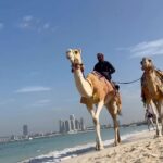 Kelly Helard Instagram – Changement de décor !! 
Retour où il y a du monde !! 
Un petit  passage à Dubai 
Et forcément fin des vacances, mon petit déjeuner a été un Donuts !!