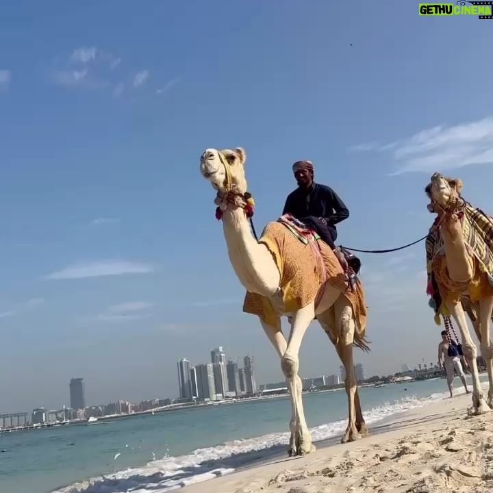 Kelly Helard - 10.1K Likes - Changement de décor !!
Retour où il y a du monde !!
Un petit passage à Dubai
Et forcément fin des vacances, mon petit déjeuner a été un Donuts !!