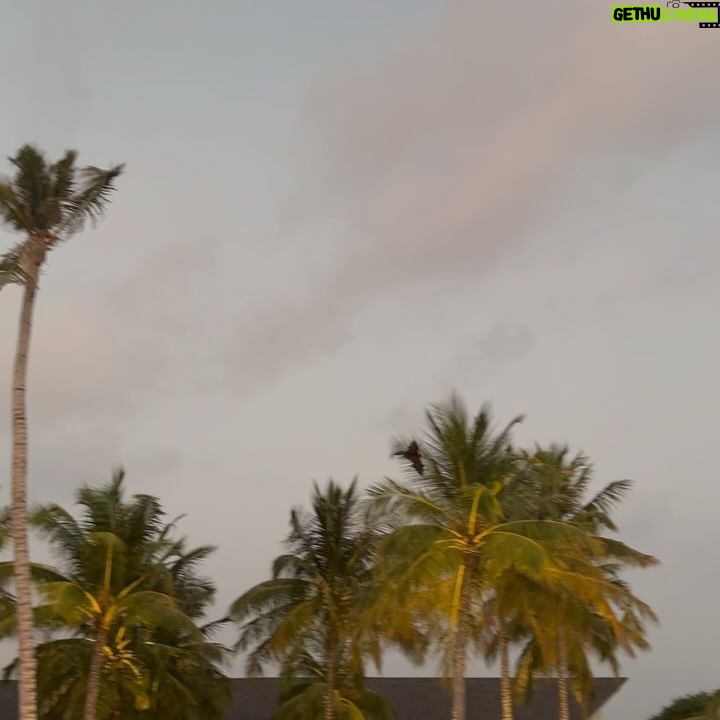Kelly Helard - 5.5K Likes - Même le soir c’est des lieux de folie
Au planning repas balade à vélo photos et détente .
Observation des chauves souris
Dessus vous voyez un hydravion et ben ça bouge et c’est tellement bruyant c’est cool 5 min vous avez déjà tester ?