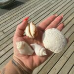 Kelly Helard Instagram – Jour 2 aux Maldives !!
Du repos j’en voulais j’en ai eu !!
Piscine et plage j’alterne j’ai pas de préférence !!
Une eau magnifique et un sable grave blanc !!