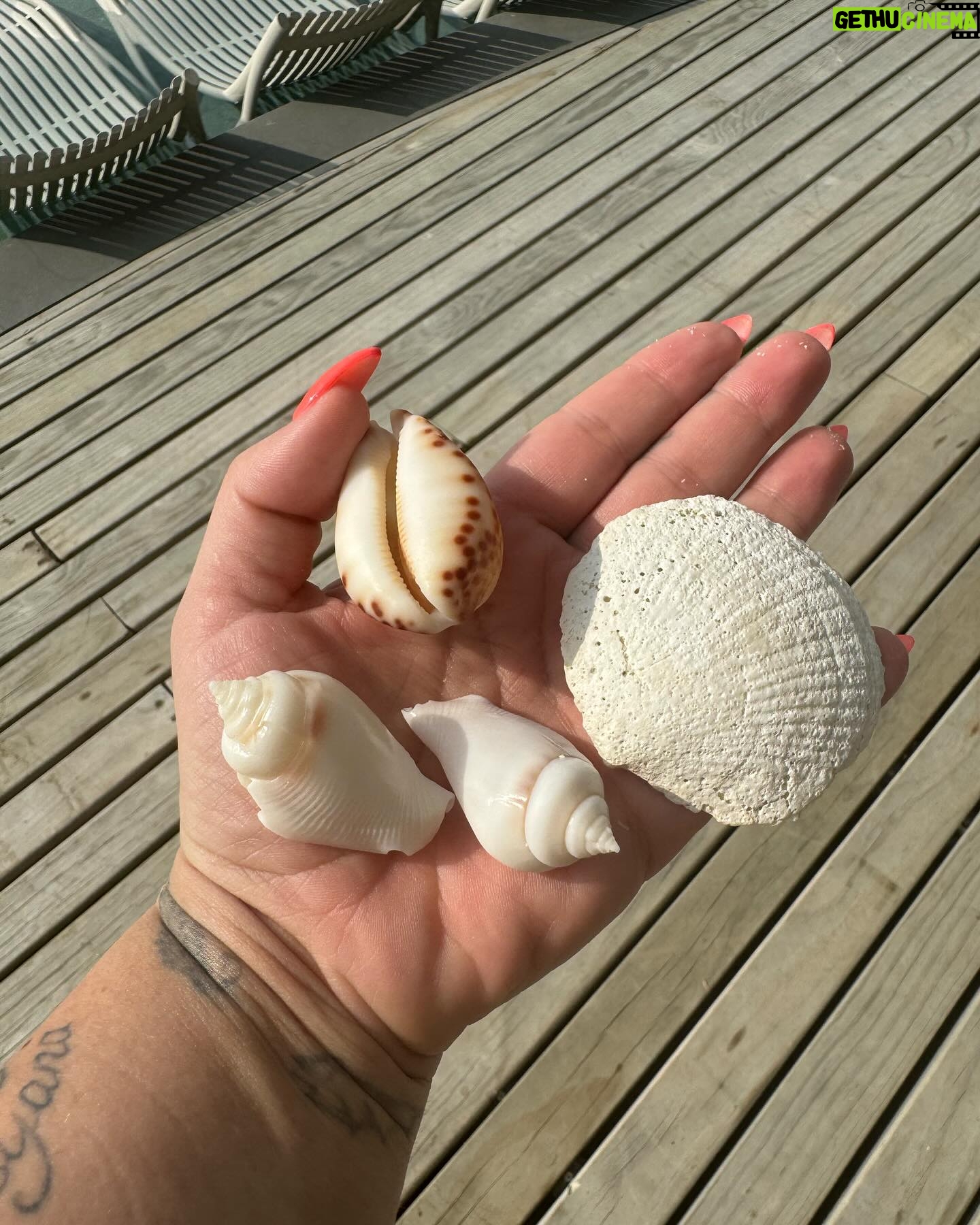Kelly Helard - 11.4K Likes - Jour 2 aux Maldives !!
Du repos j’en voulais j’en ai eu !!
Piscine et plage j’alterne j’ai pas de préférence !!
Une eau magnifique et un sable grave blanc !!