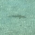 Kelly Helard Instagram – On va explorer un peu les profondeurs des Maldives ….