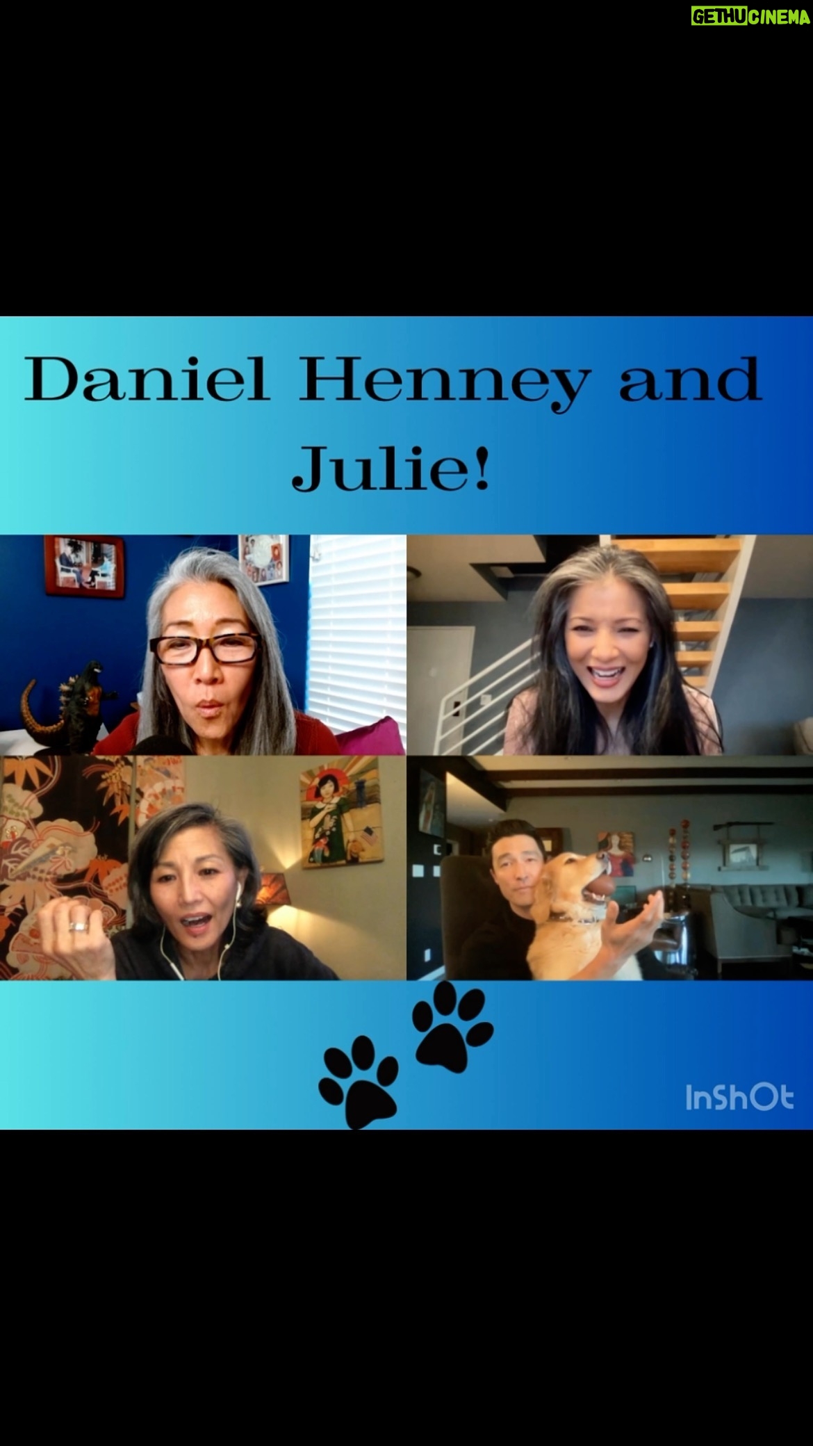 Kelly Hu Instagram - On a recent episode of @shoesoffinsidemkt with @mayhlee @kellyhu and @thetamlyntomita Daniel Henney @danielhenney shared the work he does to help find new homes for dogs rescued from the dog meat trade in South Korea, a practice that was recently banned. Daniel, himself, has rescued 2 dogs and one of them makes an appearance to the delight of Tamlyn, Kelly and May!! Who can resist that face!!! (and Daniel’s isn’t bad either!) Go to @hsiglobal @dog_us_planet for more info on how you can help! Click bio 👆👆to watch entire episode on YouTube or listen anywhere you get your podcasts.