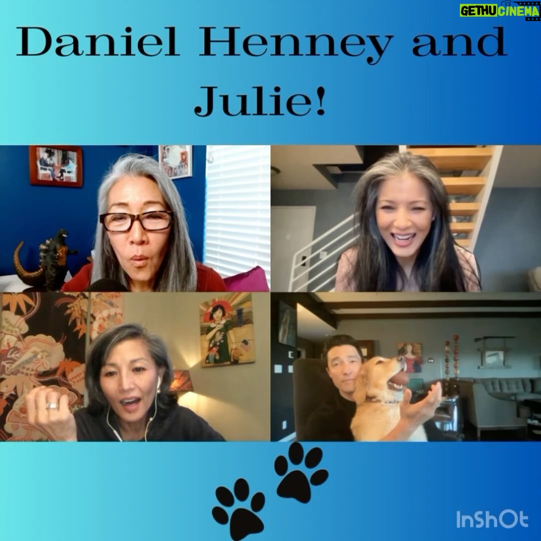 Kelly Hu Instagram - On a recent episode of @shoesoffinsidemkt with @mayhlee @kellyhu and @thetamlyntomita Daniel Henney @danielhenney shared the work he does to help find new homes for dogs rescued from the dog meat trade in South Korea, a practice that was recently banned. Daniel, himself, has rescued 2 dogs and one of them makes an appearance to the delight of Tamlyn, Kelly and May!! Who can resist that face!!! (and Daniel’s isn’t bad either!) Go to @hsiglobal @dog_us_planet for more info on how you can help! Click bio 👆👆to watch entire episode on YouTube or listen anywhere you get your podcasts.