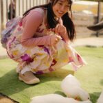 Kelly Huang Instagram - 到底有多愛我啦⋯⋯好喜歡被需要的感覺❤️ 廢物媽媽的育兒農場你來玩過了嗎？ 好開心😁好療癒🤩快來玩😙 帥驢子完全電到我了😚😚 一開始拿到草 我一看到驢子就覺得超級帥 馬上就先讓牠吃飽飽 😚 張開嘴巴吃草的那瞬間 以為牠是駱駝😆 羊羊們好好餓喔😋一直追著我 我以為到底有多愛我😎 原來是想要吃我手裡面的草 廢物媽媽不只適合全家大小來 單身🐶們來這裡 可以享受被追的感覺🥰😍 黑鼻羊的臉都黑在一起了啦！ 臉上到底開不開心都看不出來🥸 終於找到今日最速配 駱馬 不管是身高還是顏值 都很適合我耶😅❤️❤️❤️ 出來玩就是要穿拍照漂亮又舒服的洋裝 今天穿的這件「MiFresa 財財的手作基地 」財財手做的洋裝 🧡超多人在問🧡 我很喜歡MiFresa財財手做的洋裝，風格是走一個很溫暖的日系手作風格，平常在街上看不到，所以不會撞衫，每一件都很有設計感，平常日穿或是出來玩都很方便，不用想要怎麼搭配，一件搞定！ 還有童裝、親子裝可以做搭配，在廢物媽媽育兒農場裡面就有「MiFresa 財財的手作基地」櫃位專賣店，非常好逛！我自己又買了好幾件回家🥰❤️ 哦，對了！廢物媽媽育兒農場還有販售伴手禮餅乾，好香好好吃！肚子餓了可以大家一起分享，也可以帶伴手禮回家唷！ #財財的手作基地 #親子裝 #網美風穿搭 🦙農場資訊 📲大家要去之前要先網路預約喔！ ☎️電話：0988-911-572 ⏰營業時間：週一～週日 9:00~16:00 📍地址：新竹市香山區海埔路518巷75弄85之1號