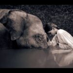 Kelly Preston Instagram - Kindness is so healing and what the world needs now... one of my favorite photographers who captures kindness perfectly @ashesandsnows #gregorycolbert