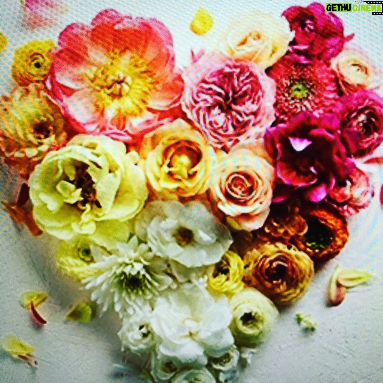 Kelly Preston Instagram - Happy weekend! πΈππ§‘