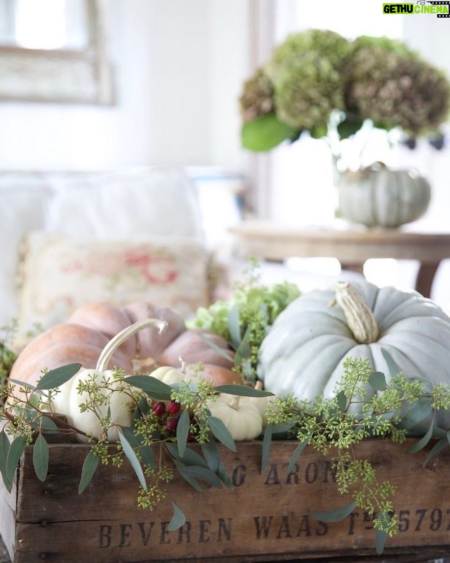 Kelly Preston Instagram - Happy first day of Fall!