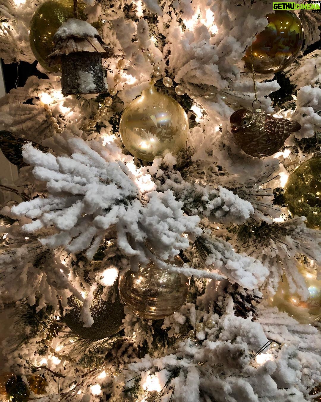Kelly Preston Instagram - Itβs beginning to look a lot like Christmas... ππβ₯οΈ