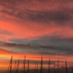 Kelly Preston Instagram - 😍💗🧡💛🌅