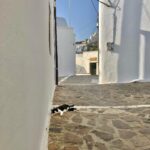 Kelly Thiebaud Instagram – Landscapes part 1: Milos, Greece. In my early 20’s I lived in Athens trying to make it as a model. I dreamed of going to the Greek Islands but was way too broke to even eat, so it never happened. Almost 20 years later, I made it! It’s more beautiful than I was expecting. A place I will hopefully be able to visit often. ✨🇬🇷 #islanddreams #milosisland