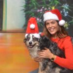 Kelly Thiebaud Instagram - Our 4th annual Holiday photo! Make sure you slide to the last photo😂 @whiskeyessss 🥰