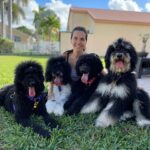 Kendra Santacruz Instagram - My pack 😍 Fiona Nina Felipe Berkana Cuéntame , cuantos y que perros tienes? 🙃 #standardpoodle