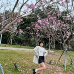 Kendra Sow Instagram - 元宵节快乐！ 送上一组粉粉的桃花照🌸💗🎆