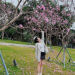 Kendra Sow Instagram - 元宵节快乐！ 送上一组粉粉的桃花照🌸💗🎆