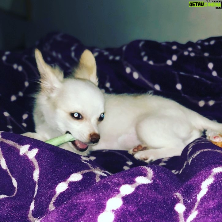 Kenia Gascón | Gethu Cinema