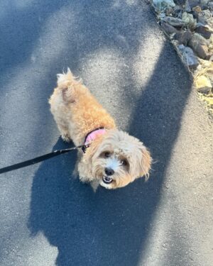 Kennedy McMann Instagram - brb taking a walking meeting
