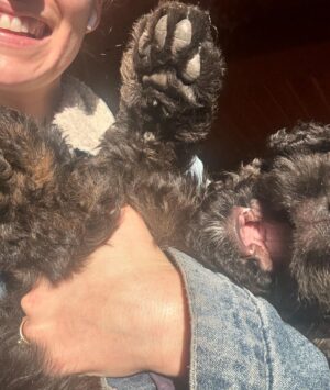 Kennedy McMann Instagram - pawternity leave
