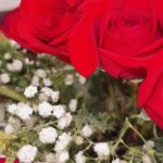 Kethelllen Avelino Instagram - 🌹✨Valentine’s day✨🌹
