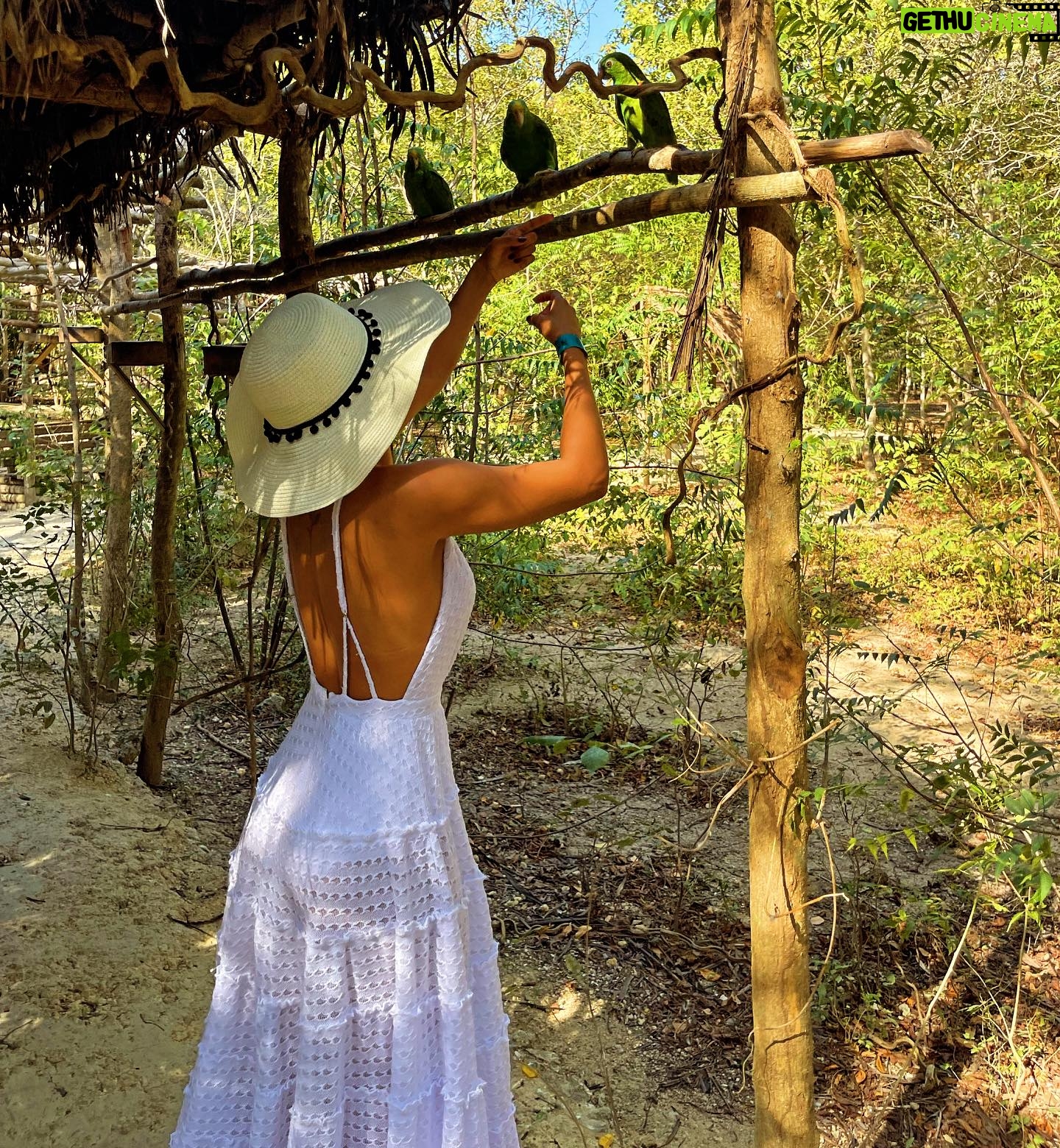 Kethelllen Avelino Instagram - Não poderia deixar essa obra de arte só na galeria🇨🇴😍🦩