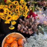 Khate Lessard Instagram – Une journée d’automne pluss que parfaitteeee
#foodies #automne #montreal