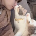 Kiki Lin Instagram - 一早放閃可以嗎😌🥰