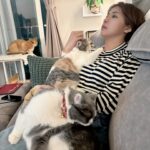 Kiki Lin Instagram - 當你不過就是不在家兩三天…. 回到家好像欠了很多債 那隻好像很獨立在旁邊的已經討債完了 這兩隻的債比較難還… #眼神已空洞😂