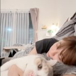 Kiki Lin Instagram - 怎麼一瞬間就風雲變色 黏膩小貓貓在逼我幫他弄飯吃 對喔最後有點生氣了哈哈哈哈哈 #沈浸式貓貓日 #大姐二姐自己在睡覺 #老三就是如此黏膩 #對電視裡是不可能的任務🤣 #我有點燒聲